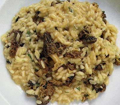 Risotto agli spugnoli