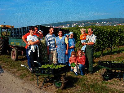 Wein-Paradies Burgenland