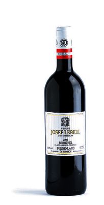 Josef Leberl