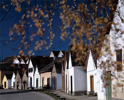 Weinliedertage & Weinlesefest