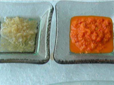 Chilisauce und Ingwer-Knoblauchmischung