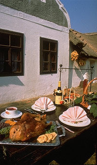 Wein und Kulinarik