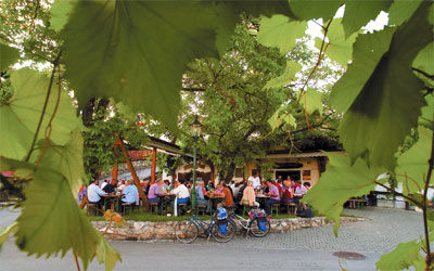 Weinherbst-Tage in Droß