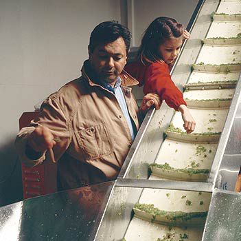 Weingut Zahel: Die Weinbrüder