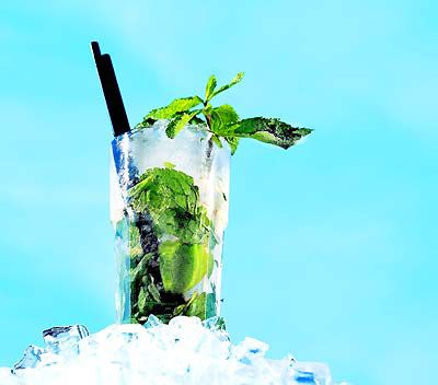 Mojito