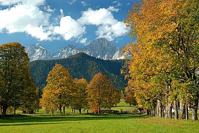 5. Rittisberg Fuchsjagd
