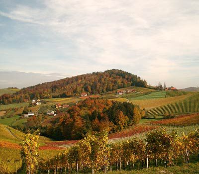 Steiermark-Seeing-Tour
