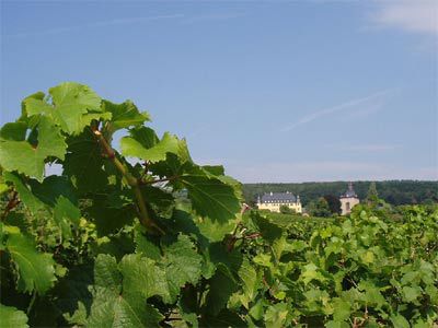 Wein, Musik und Frohsinn