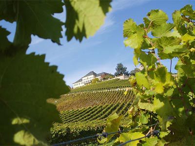 Gotisches und altes Weindorf