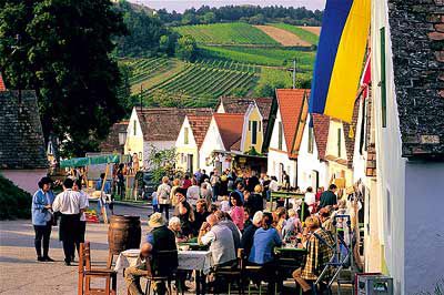 Fisch und Wein im Kamptal