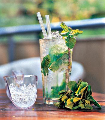 Mojito