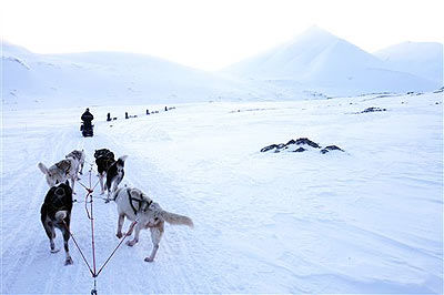 Frühlingserwachen in Spitzbergen