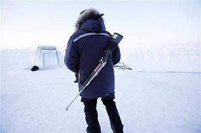 Frühlingserwachen in Spitzbergen