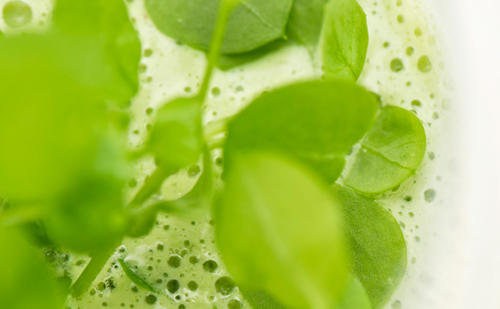 Bild: GUSTO / Lothar Prokop Grüne Frühlingssuppe