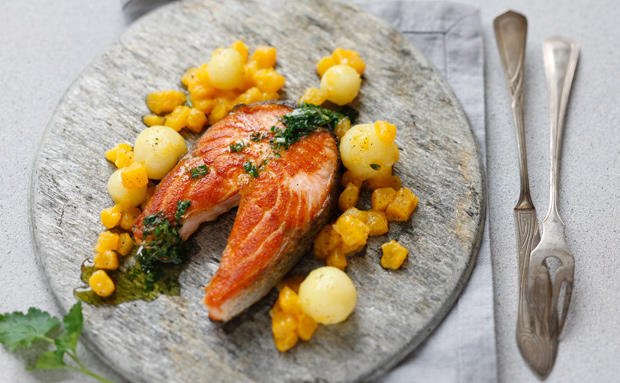 Rezepte mit Lachs • GUSTO.AT