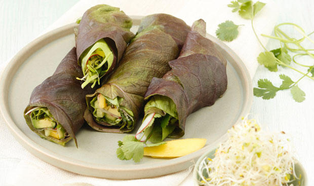 Bild: GUSTO / Theresa Schrems Salatrolle mit Nuss-Sauce