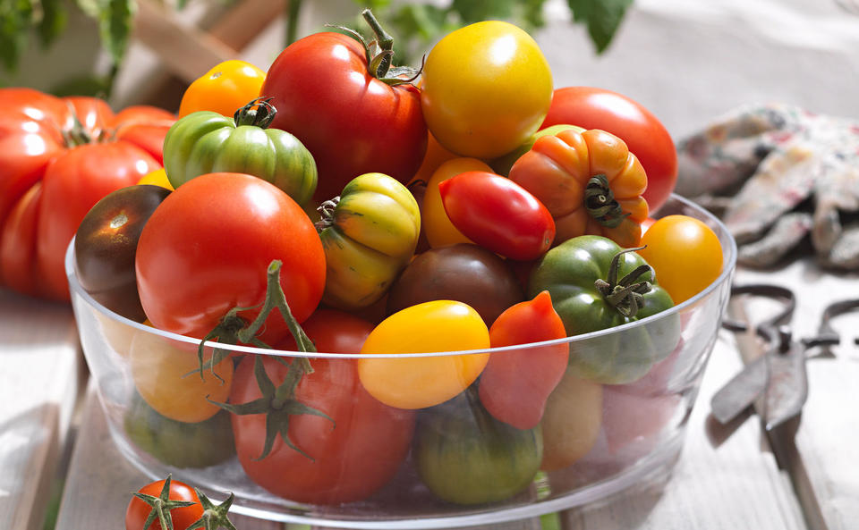 Tomaten