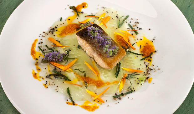 Bild: GUSTO / Markl Michael Saiblingsfilet auf Gurkencarpaccio