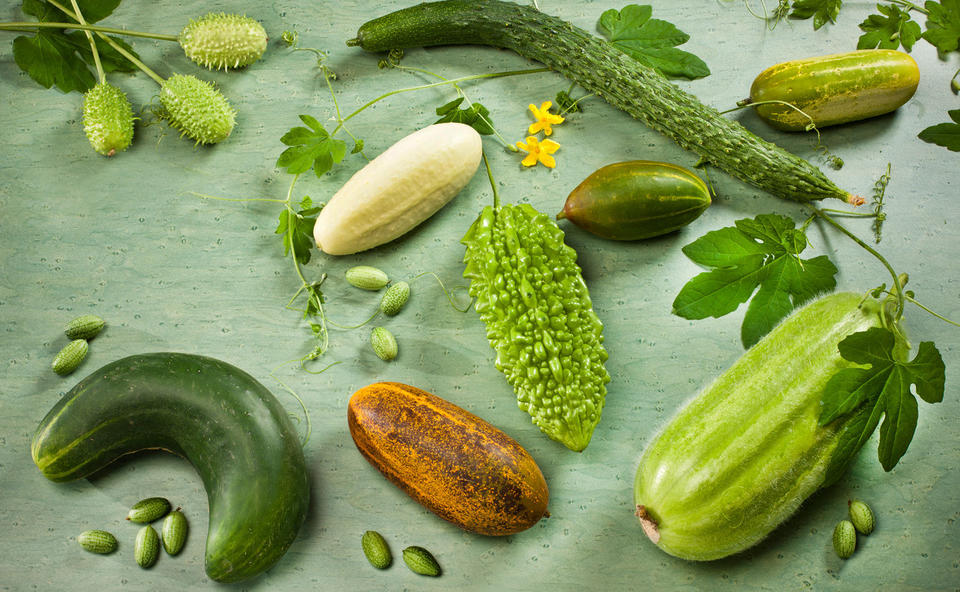 Rezepte mit Gurken • GUSTO.AT