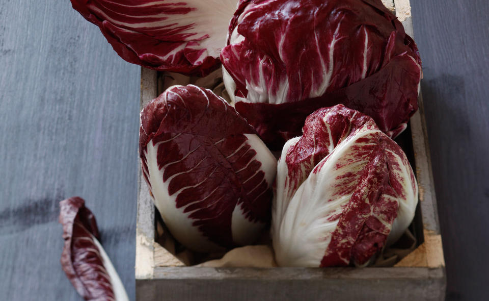 Radicchio