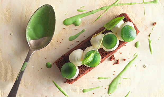 Bild: GUSTO / Eisenhut & Mayer Schokokuchen mit Sauerampfer