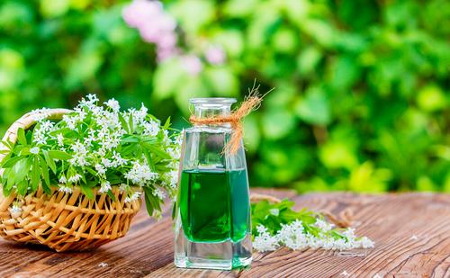 Bild: iStock Waldmeister
