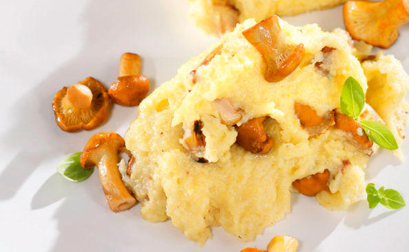 Cremige Polenta mit Eierschwammerln