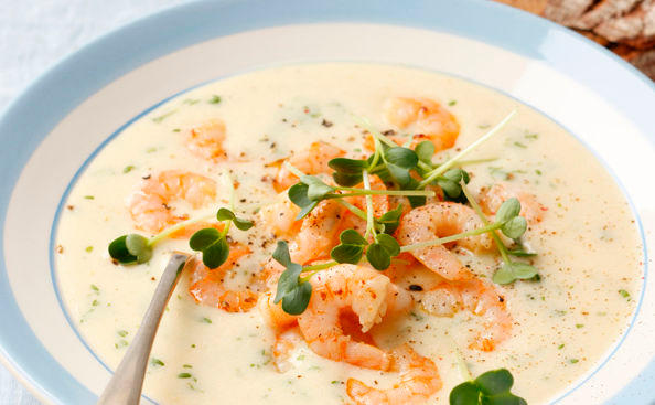 Sellerie-Shrimpssuppe