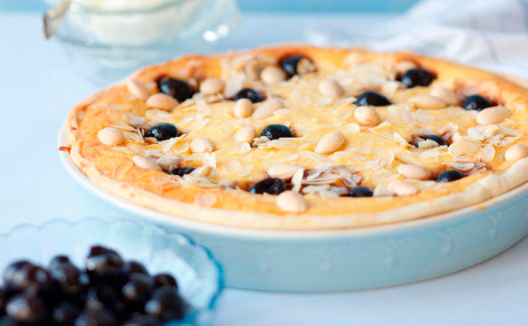 Ricotta-Mandel-Torte mit Amarenakirschen