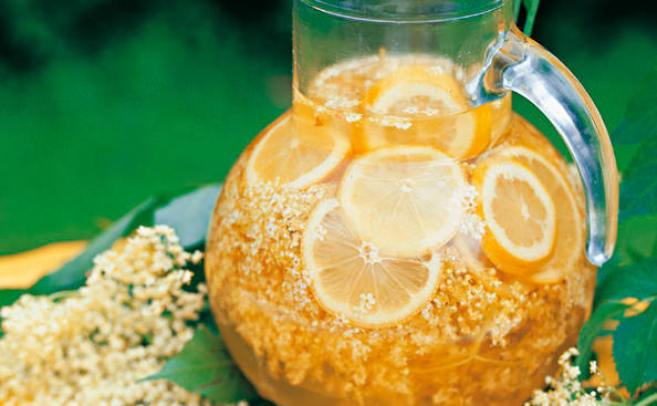 Holunder-Sirup • Rezept • GUSTO.AT