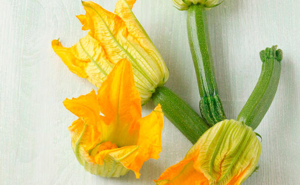 Zucchiniblüten oder Kürbisblüten im Tempurateig