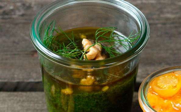 Dill-Nuss-Pesto