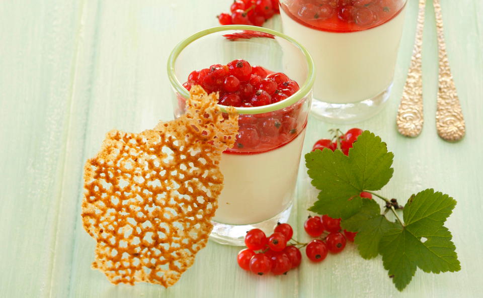 Panna cotta mit Ribiseln