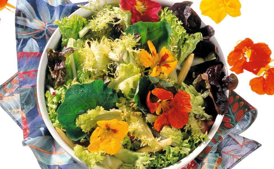 Kressesalat mit Kapuzinerblüten