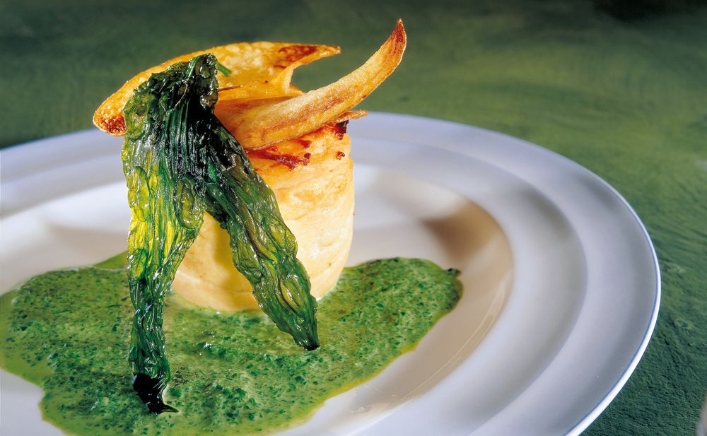 Auflauf vom Bachsaibling mit Bärlauchsauce • Rezept • GUSTO.AT