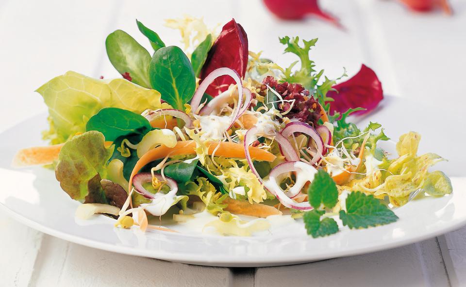 Blattsalate mit Joghurtdressing