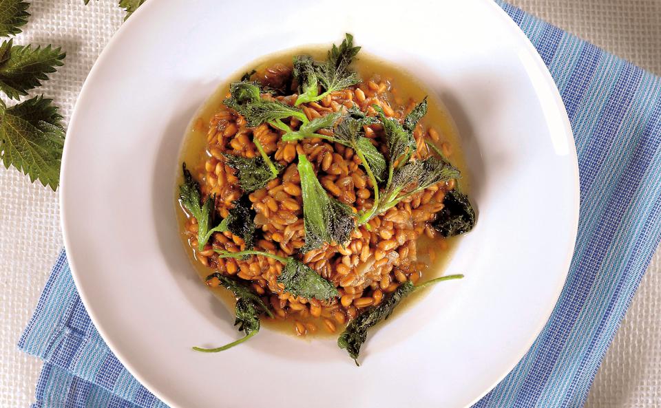 Waldviertler Emmer-Risotto mit Brennnesseln • Rezept • GUSTO.AT