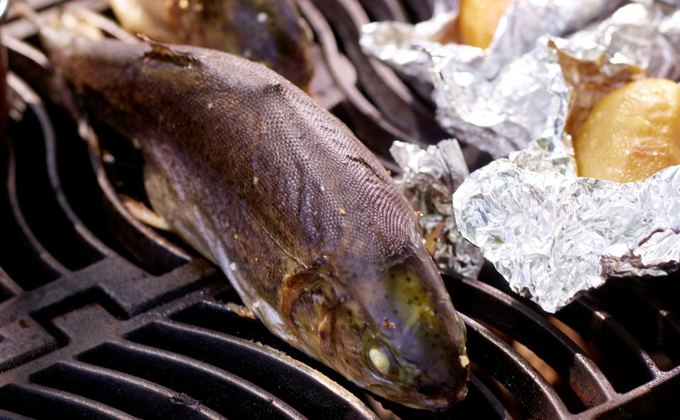 Gegrillte Forelle mit Erdäpfelstampf