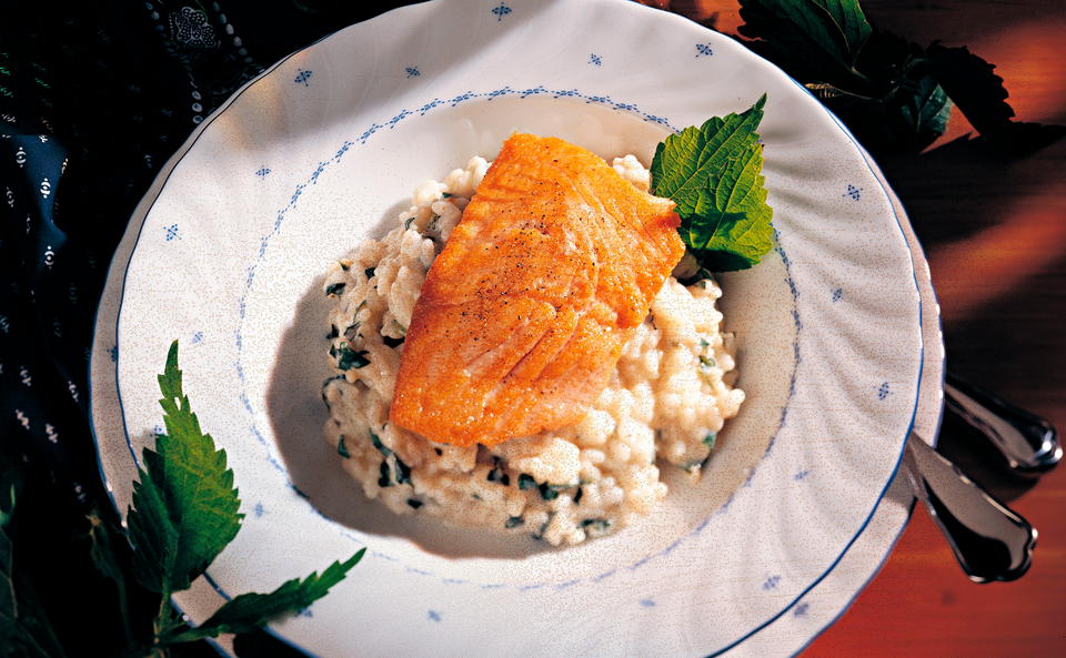 Brennnessel-Risotto mit gebratenem Frischlachs